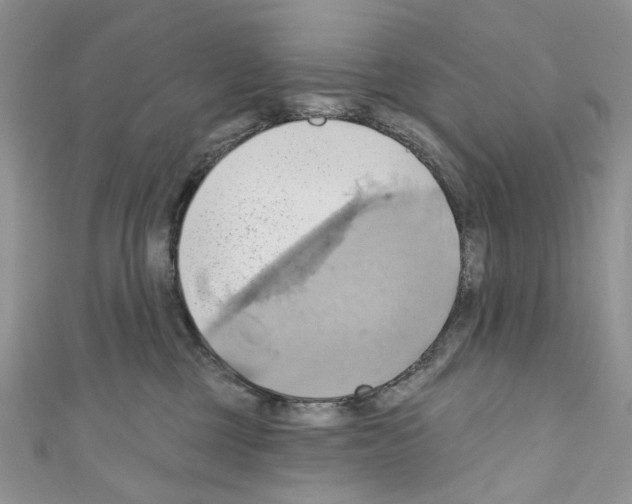 X0000110680377200907241048