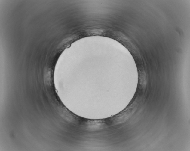 X0000110680378200907241048