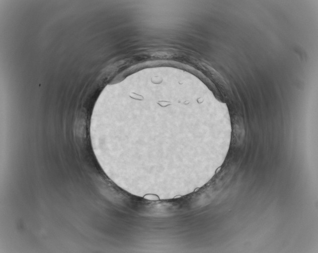 X0000110680379200907241048