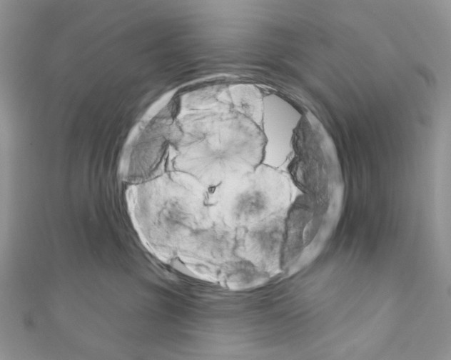 X0000110680381200907241048