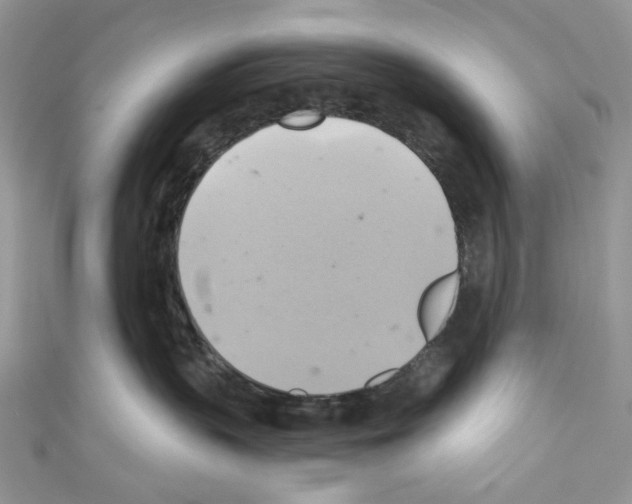 X0000110680383200907241048