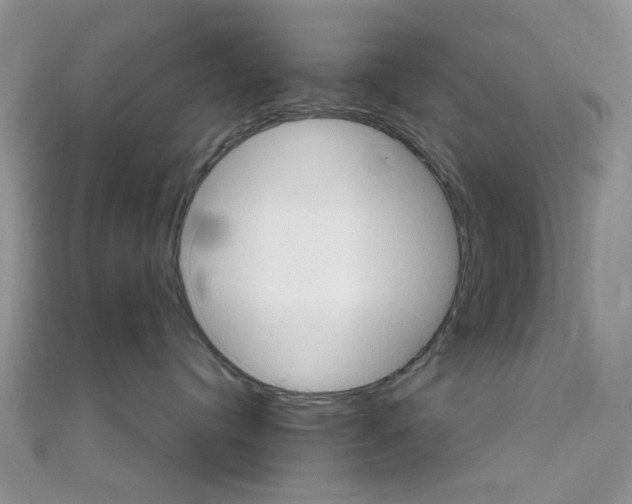 X0000110680384200907241048