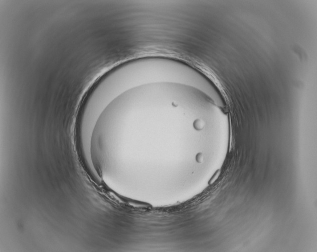 X0000110680387200907241048