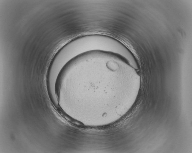 X0000110680389200907241048