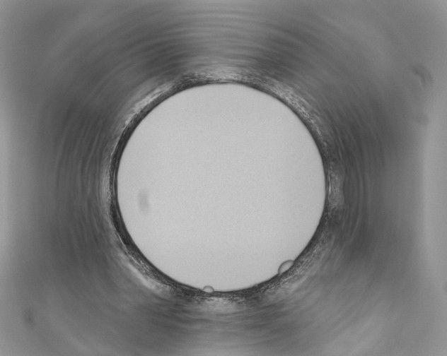 X0000110680390200907241048