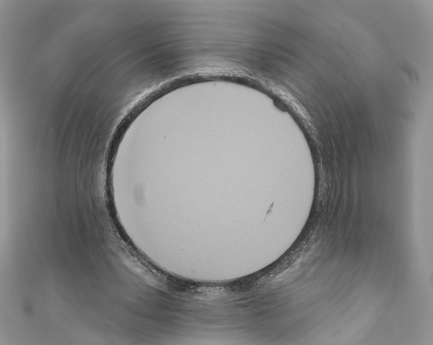 X0000110680391200907241048