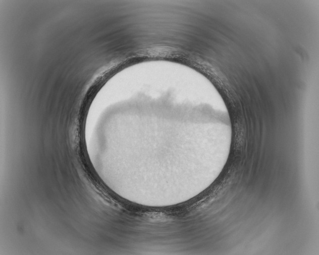 X0000110680392200907241048