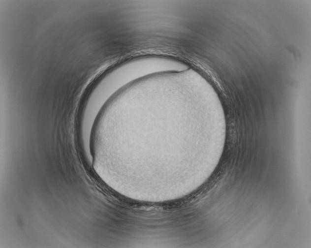 X0000110680395200907241048