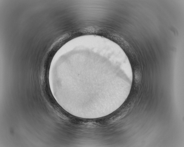 X0000110680396200907241048