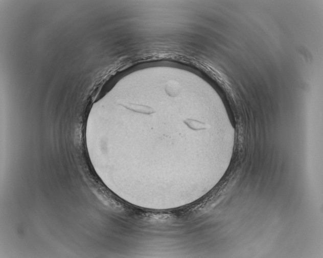 X0000110680401200907241047