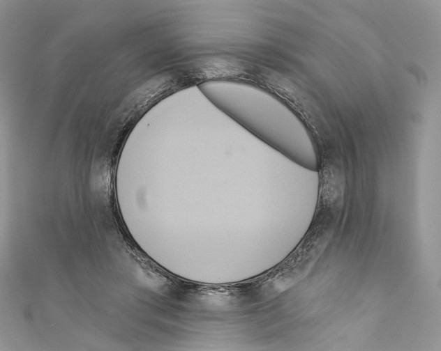 X0000110680405200907241047