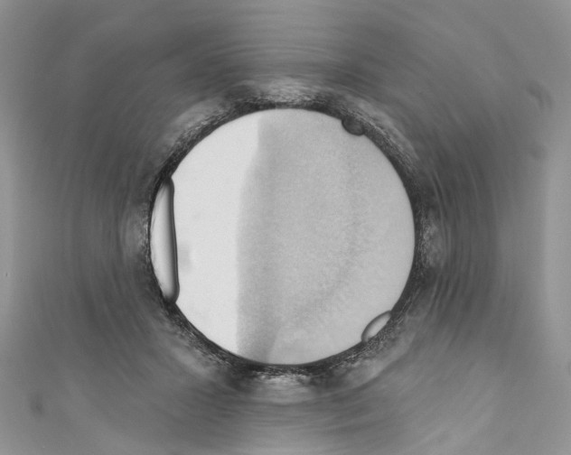 X0000110680407200907241047