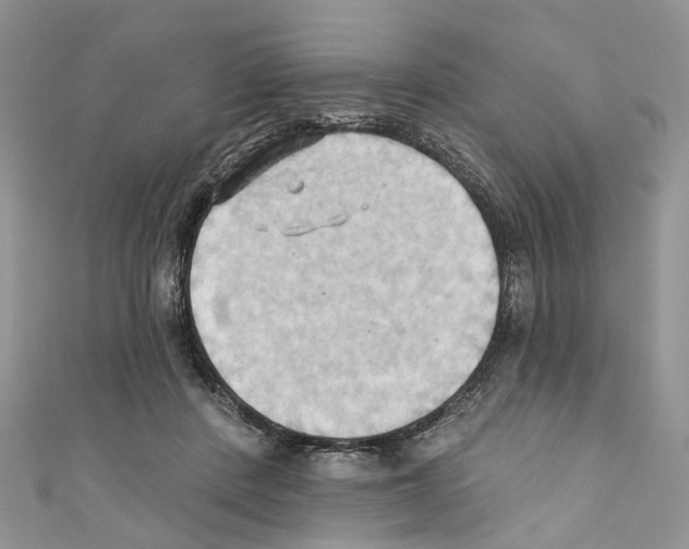 X0000110680408200907241047