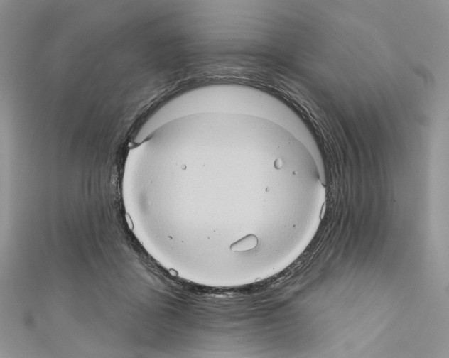 X0000110680411200907241047
