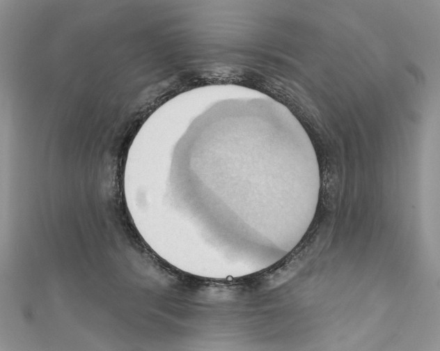 X0000110680416200907241047