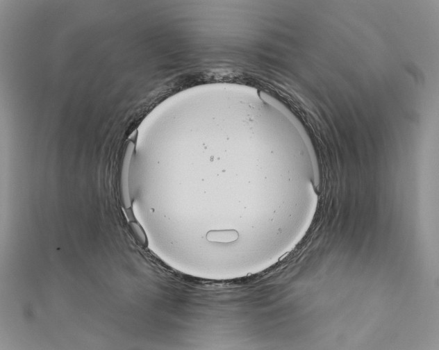 X0000110680417200907241047