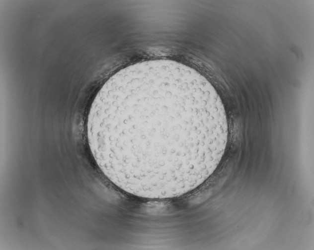 X0000110680418200907241047
