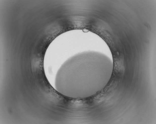 X0000110680419200907241047
