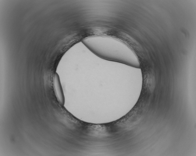 X0000110680421200907241047