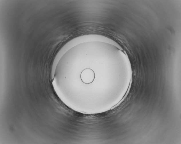 X0000110680423200907241047