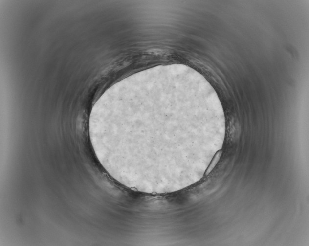 X0000110680424200907241047