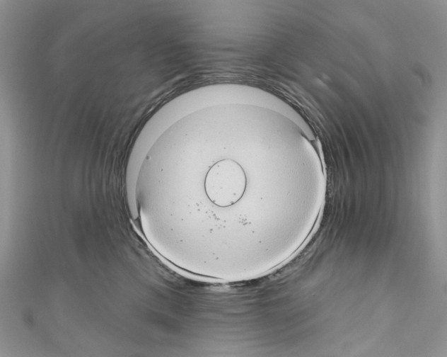 X0000110680425200907241047