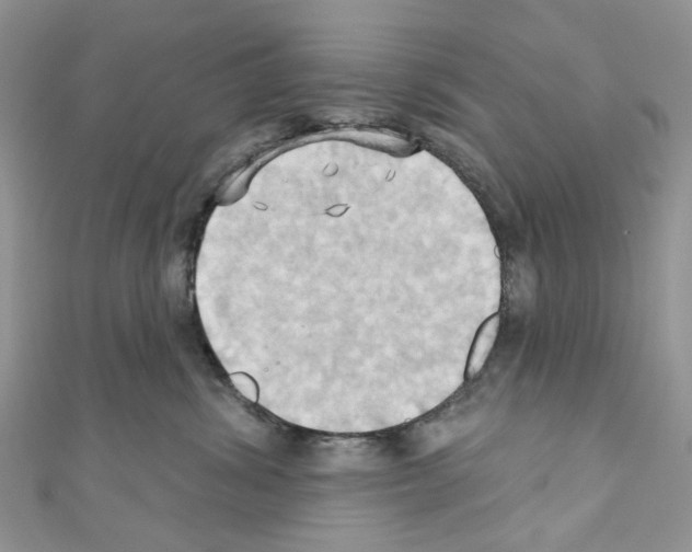 X0000110680428200907241047