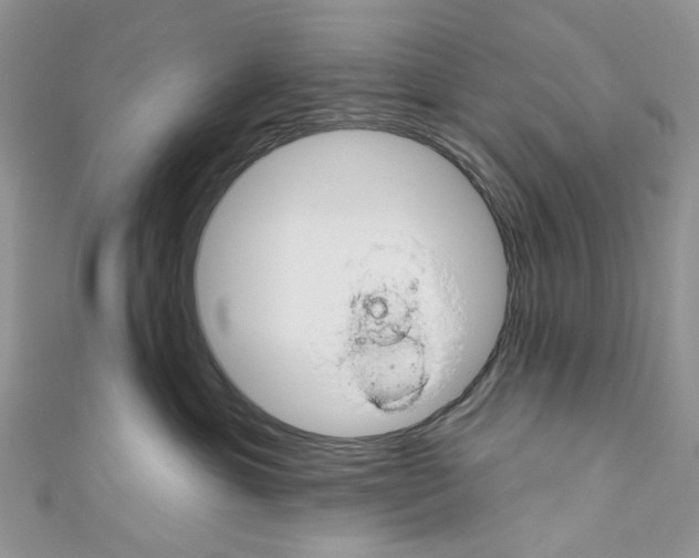 X0000110680429200907241047