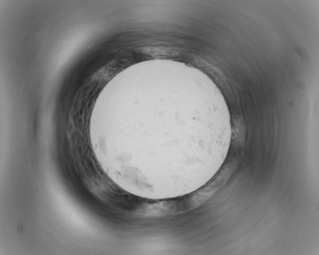 X0000110680430200907241047
