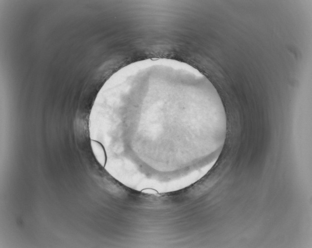 X0000110680432200907241047