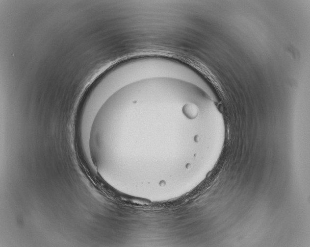 X0000110680436200907241046