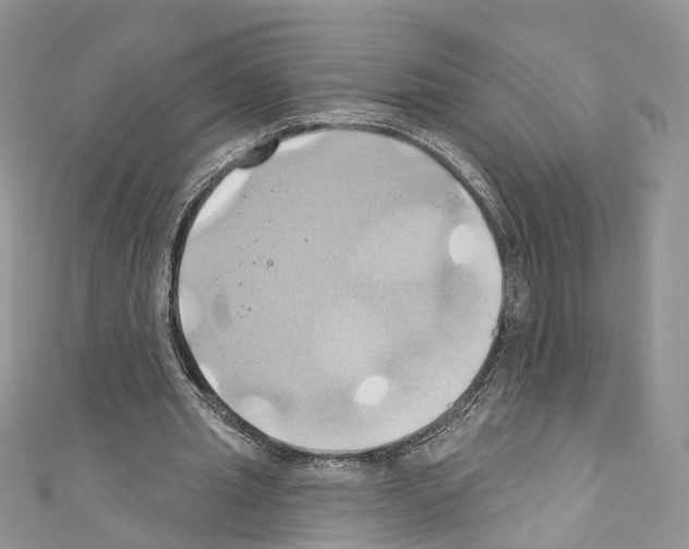 X0000110680437200907241046