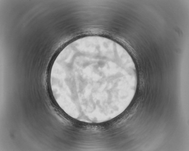 X0000110680439200907241047