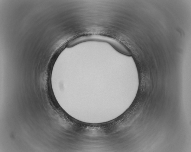 X0000110680440200907241047