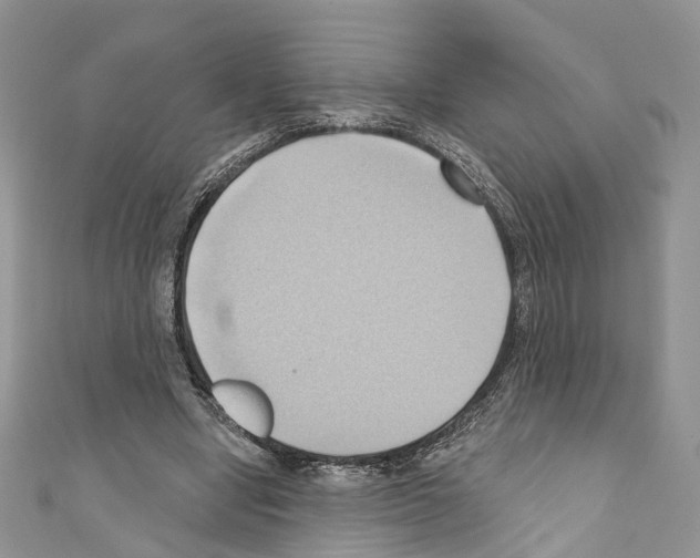 X0000110680442200907241047