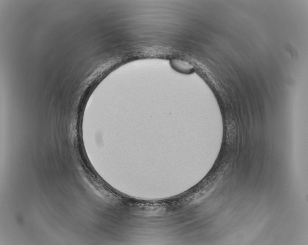 X0000110680443200907241047