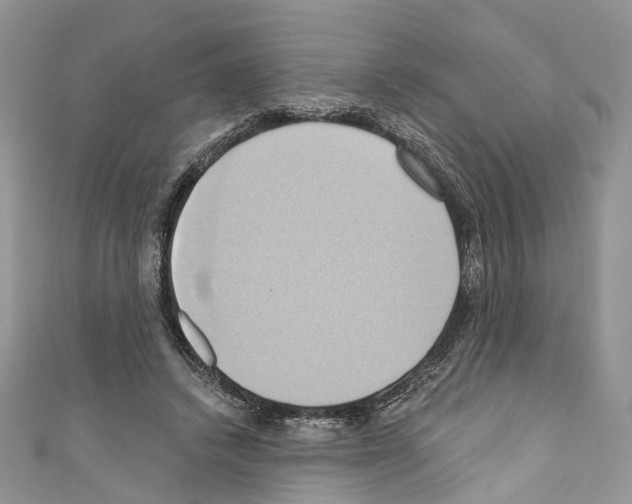 X0000110680448200907241047
