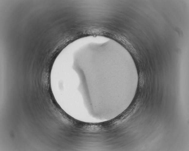 X0000110680449200907241047
