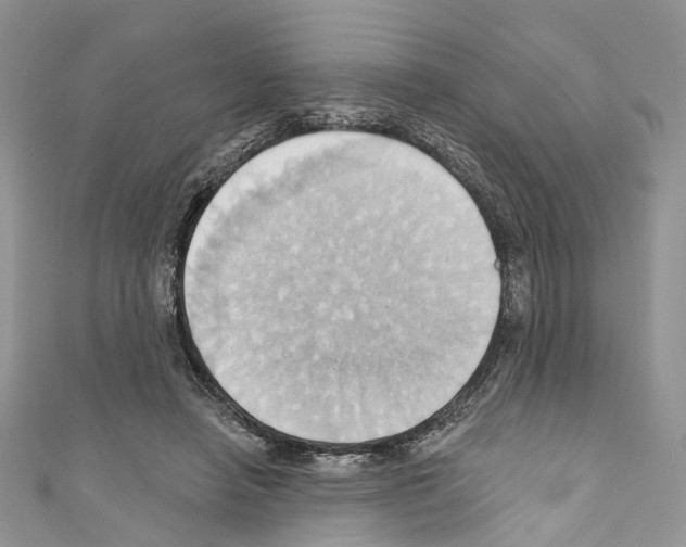 X0000110680450200907241047