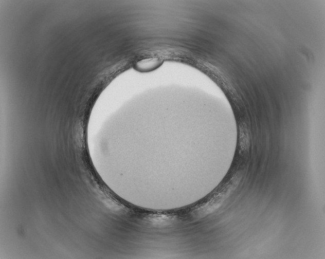 X0000110680453200907241047