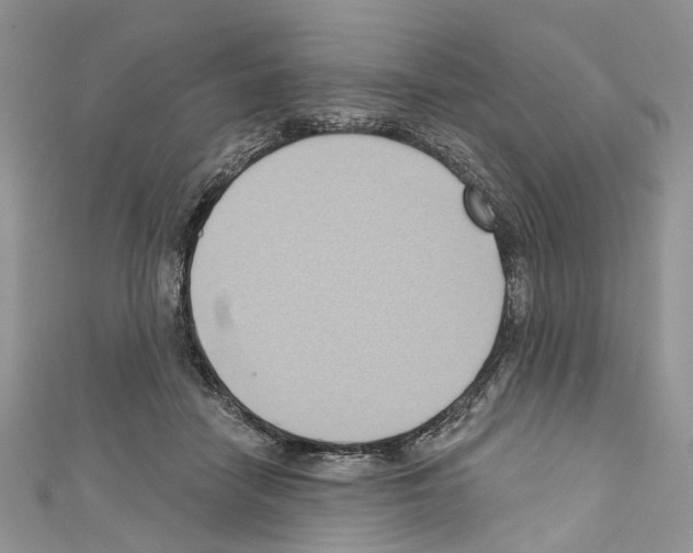 X0000110680458200907241047
