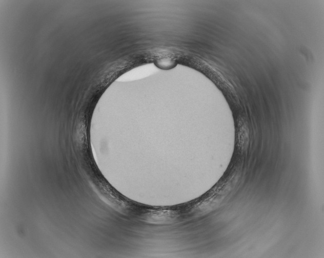 X0000110680459200907241047