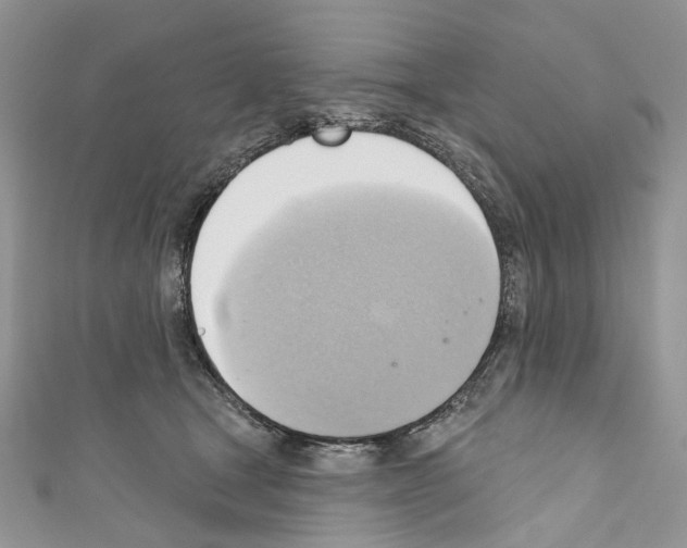 X0000110680465200907241047
