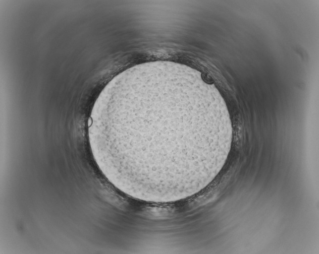 X0000110680466200907241047