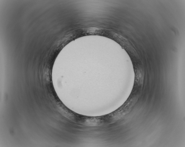X0000110680470200907241047
