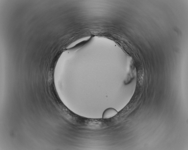 X0000110680471200907241047