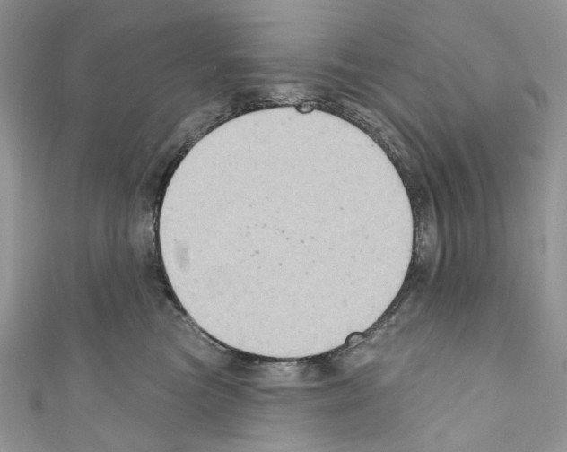 X0000110680473200907241047