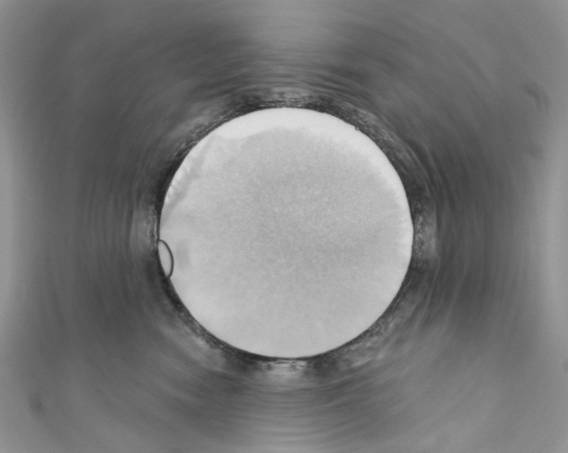 X0000110680474200907241047
