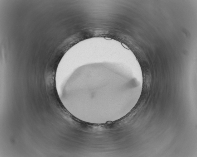 X0000110680475200907241047