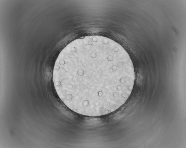 X0000110680476200907241047
